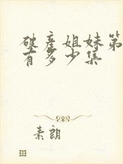 破产姐妹第一季有多少集