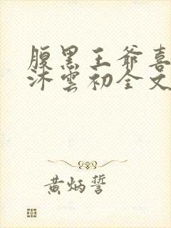 腹黑王爷喜当爹沐云初全文免费阅读