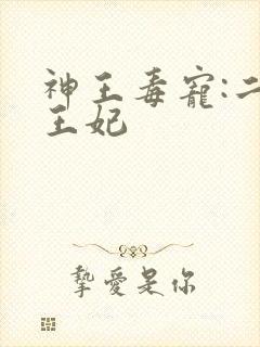 神王毒宠:二嫁王妃