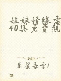 姐妹情缘电视剧40集免费观看全集