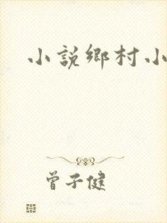 小说乡村小农民封面