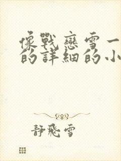 像战恋雪一样写的详细的小说