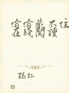 偷偷藏不住免费在线阅读