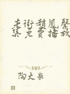 老街赵凤声20集免费播放封面