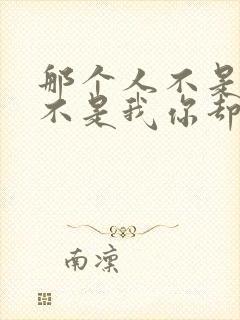 那个人不是我他不是我你却和她睡了是什么歌封面