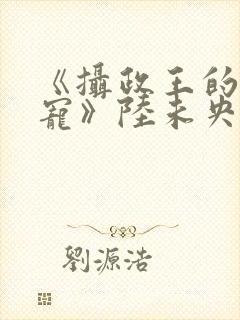 《摄政王的心尖宠》陆未央小说封面