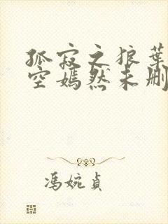 孤寂之狼叶凡司空嫣然未删减txt