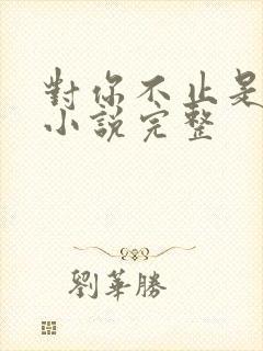 对你不止是喜欢小说完整