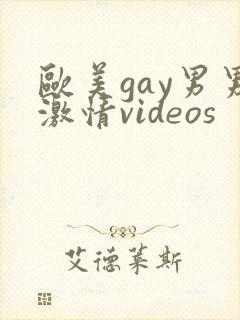 欧美gay男男激情videos