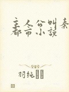 主人公叫秦昊的都市小说