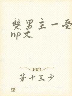 双男主一受多攻np文封面