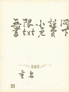 无限小说网电子书txt免费下载封面