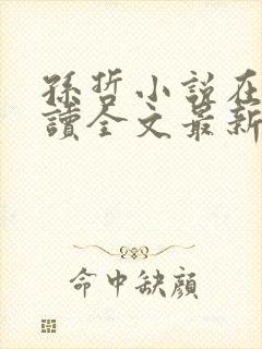 孙哲小说在线阅读全文最新封面