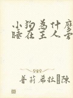 小狗为什么喜欢睡在主人旁边