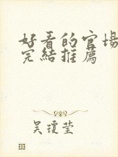 好看的官场小说完结推荐