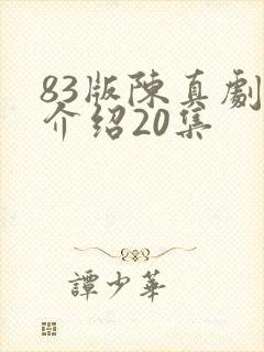 83版陈真剧情介绍20集