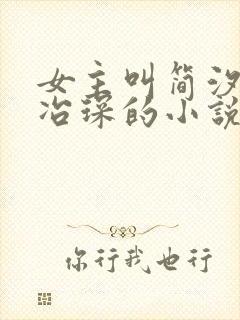 女主叫简汐跟秦冶琛的小说封面