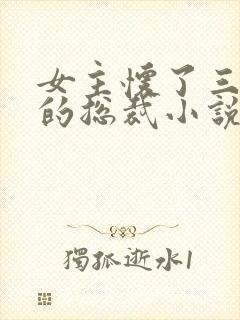 女主怀了三胞胎的总裁小说