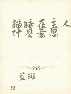 猫睡在主人胸口什么意思