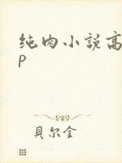 纯肉小说高hnp