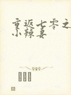 重返七零之空间小辣妻