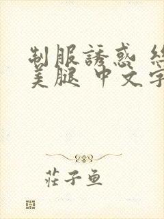 制服诱惑 丝袜美腿 中文字幕封面