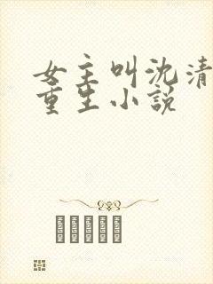女主叫沈清梨的重生小说