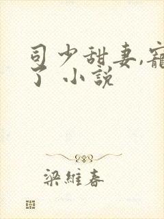 司少甜妻,宠定了 小说