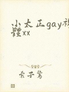 小太正gay裸体xx