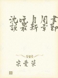 沈晚月周聿白小说最新章节更新