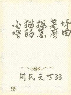 小猫总是呼噜呼噜的怎么回事