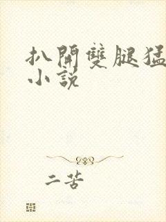 扒开双腿猛进入小说