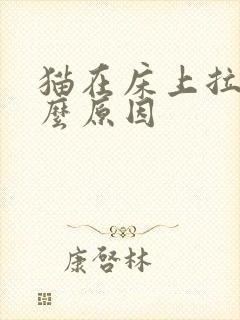 猫在床上拉尿什么原因