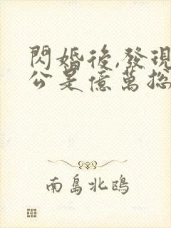 闪婚后,发现老公是亿万总裁完整版