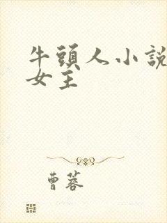 牛头人小说恶堕女主封面