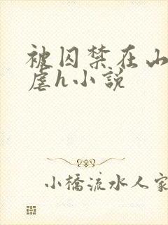 被囚禁在山村淫虐h小说封面