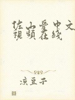 佐山爱中文字幕视频在线