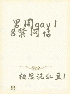 男同gay 18禁网站封面