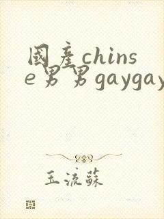 国产chinse男男gaygay网站封面