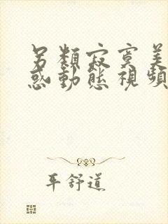 另类寂寞美女诱惑动态视频