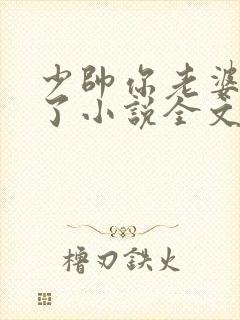 少帅你老婆又跑了小说全文免费阅读