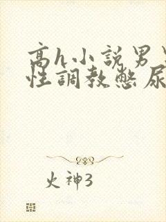 高h小说男男双性调教憋尿