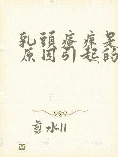 乳头瘙痒是什么原因引起的女性