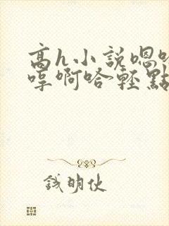 高h小说嗯哈嗯哼啊哈轻点封面