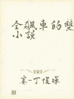 全飙车的双男主小说封面