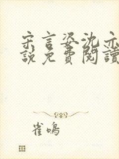 宋言姿沈亦驰小说免费阅读笔趣阁封面