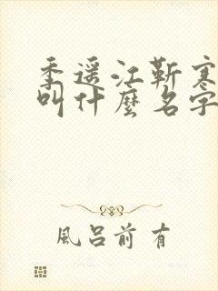 季遥江靳寒小说叫什么名字封面