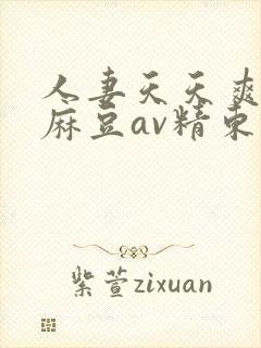 人妻天天爽三区麻豆av精东影业