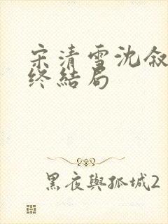 宋清雪沈叙安最终结局封面