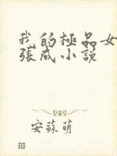 我的极品女老师张成小说封面